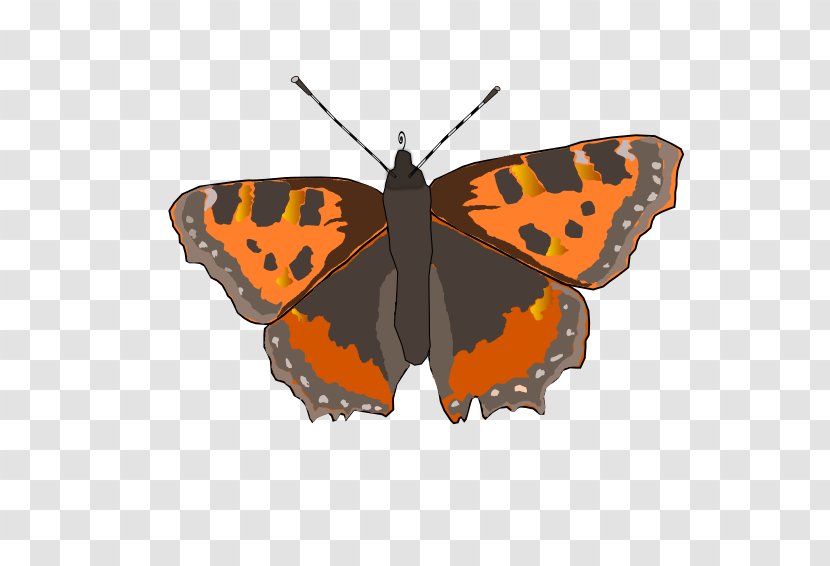 Monarch Butterfly Pieridae Gossamer-winged Butterflies Small Tortoiseshell - Moth Transparent PNG