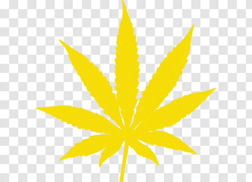 Leaf Yellow Plant Tree Hemp Family - Symmetry Flowering Transparent PNG