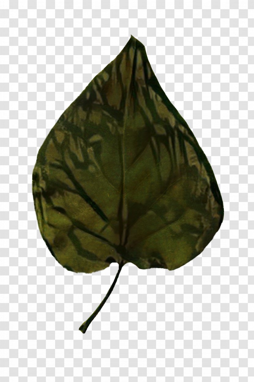 Camouflage M Leaf Transparent PNG