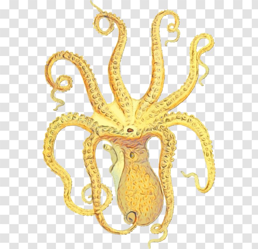 Octopus Marine Invertebrates Giant Pacific Transparent PNG