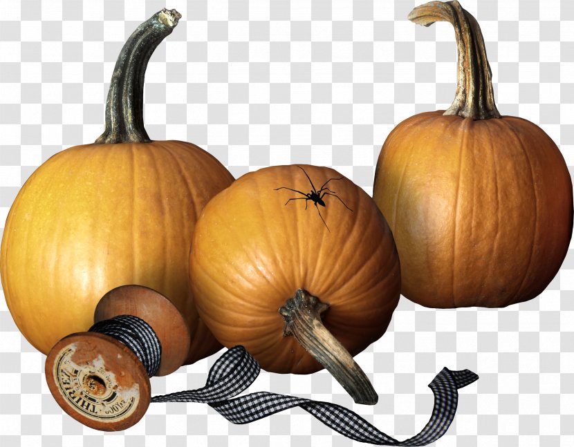 Pumpkin Calabaza Winter Squash Gourd Cucurbita Transparent PNG