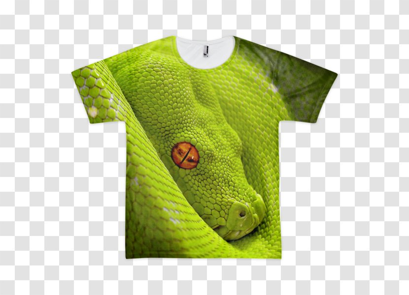 Corn Snake Reptile Green Tree Python Smooth - Reticulated Transparent PNG