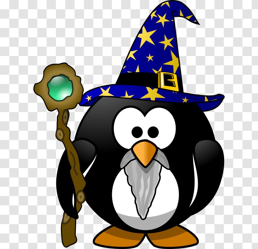 Penguin Bird Gandalf Magician Clip Art - Vertebrate - Moini Transparent PNG