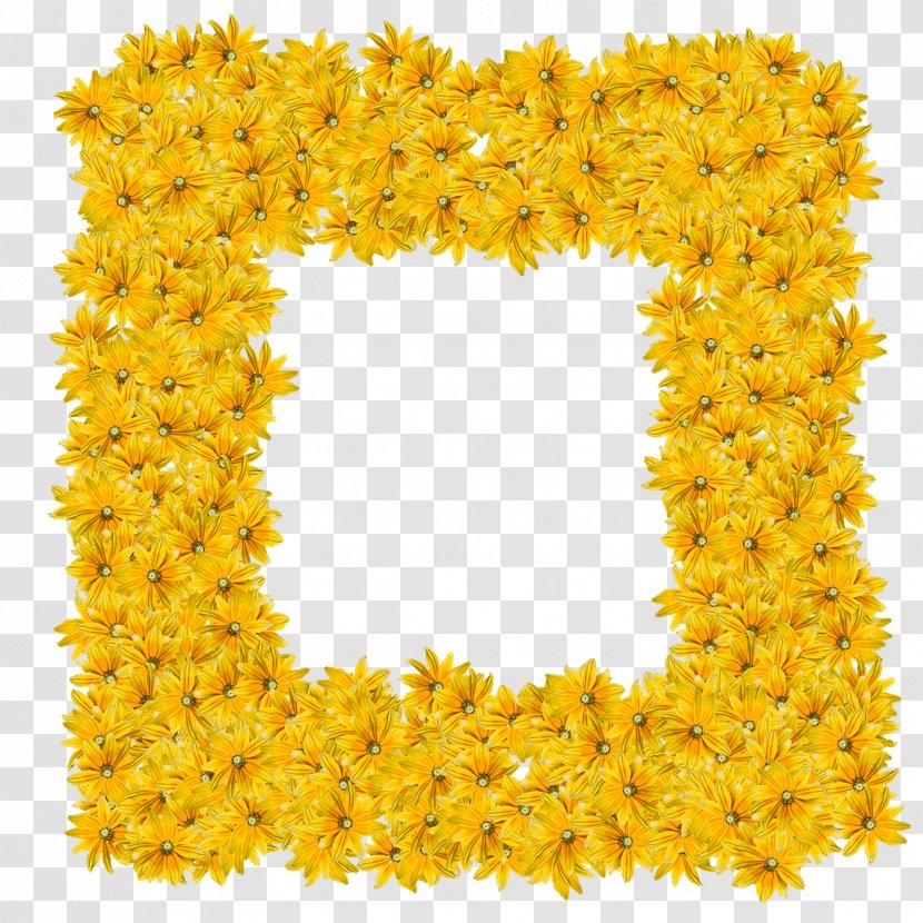 Yellow Picture Frames Flower Drawing Color - Bbcode - Flame Transparent PNG