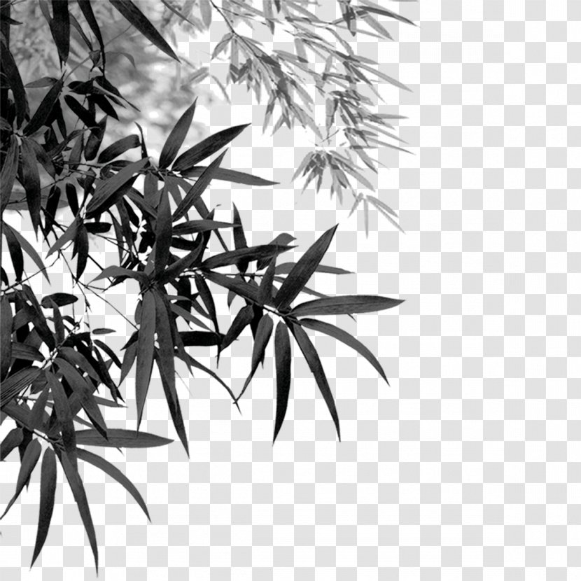 Bamboo Ink Brush - Tree Transparent PNG