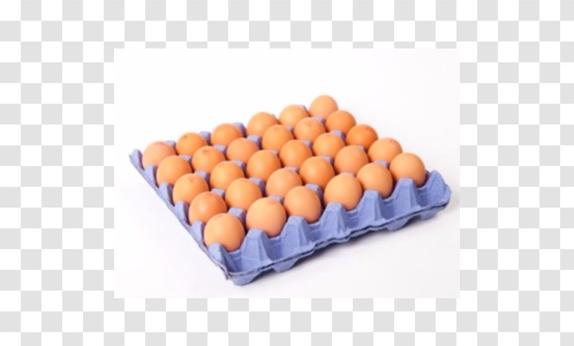 Chicken Broiler Free-range Eggs Free Range - Meat - Canned Honey Transparent PNG