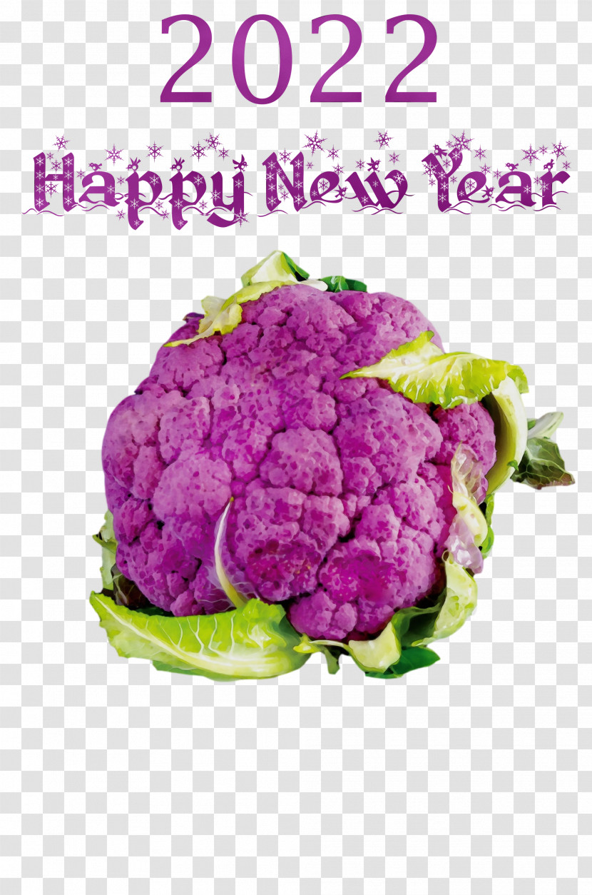 Cauliflower Transparent PNG