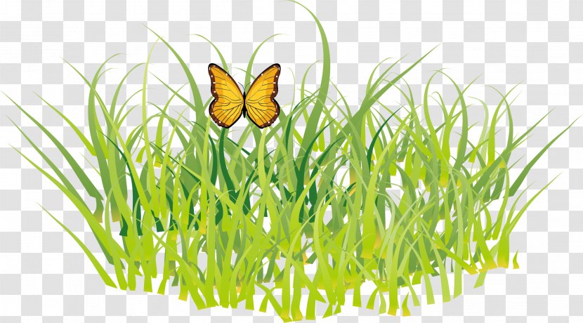 Butterfly GRASS GIS - Plant - Grass Vector Material Transparent PNG