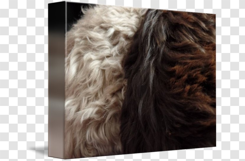 Fur Long Hair Brown - Ear Transparent PNG