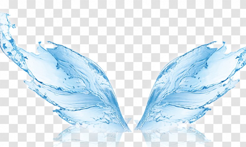 Water Filter Humidifier Membrane Reverse Osmosis - Shape Wings Transparent PNG