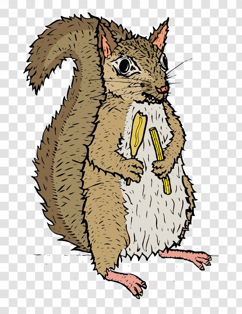 Fox Squirrel Rodent Drawing - Vertebrate Transparent PNG