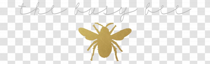 Insect Pollinator Petal Font - Wing Transparent PNG