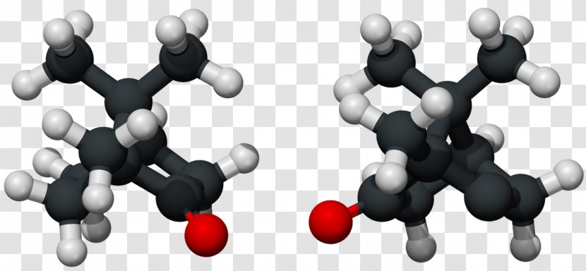 Camphor Tree Ball-and-stick Model Bornane Chemistry - Chemical Formula - Compound Transparent PNG