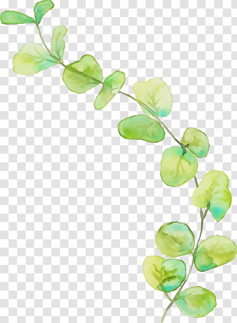 Watercolor Flower Background - Wet Ink - Flowering Plant Twig Transparent PNG