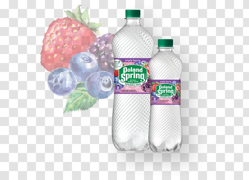 Carbonated Water Distilled Bottles Bottled - Lime Splash Transparent PNG