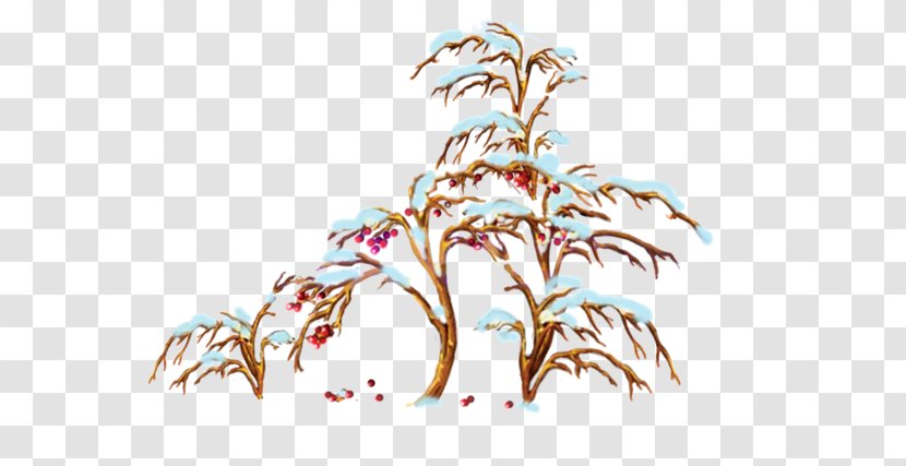 Pine Image Tree - Fir - Snow Transparent PNG