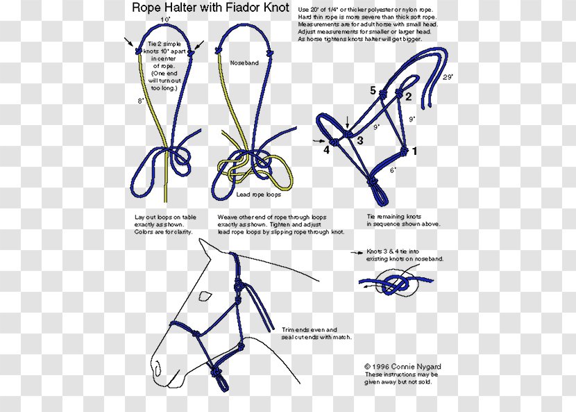 Horse Halter Fiador Knot Rope - Frame Transparent PNG