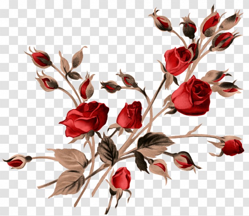Rose Painting - Decoupage - Watercolor Transparent PNG