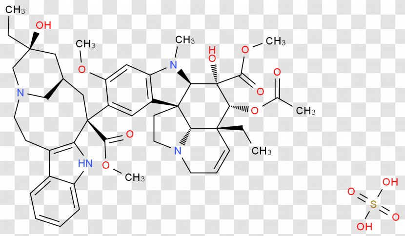 Product Design Point Angle Research - Cartoon - Acid Salts List Transparent PNG