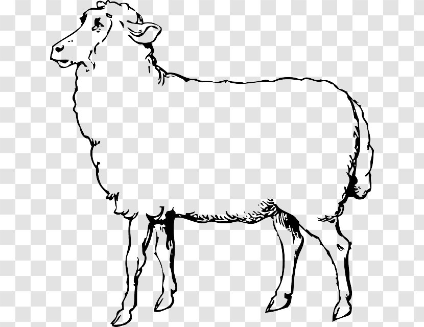 Sheep Goat Clip Art - Mane - Animals Outline Drawing Transparent PNG