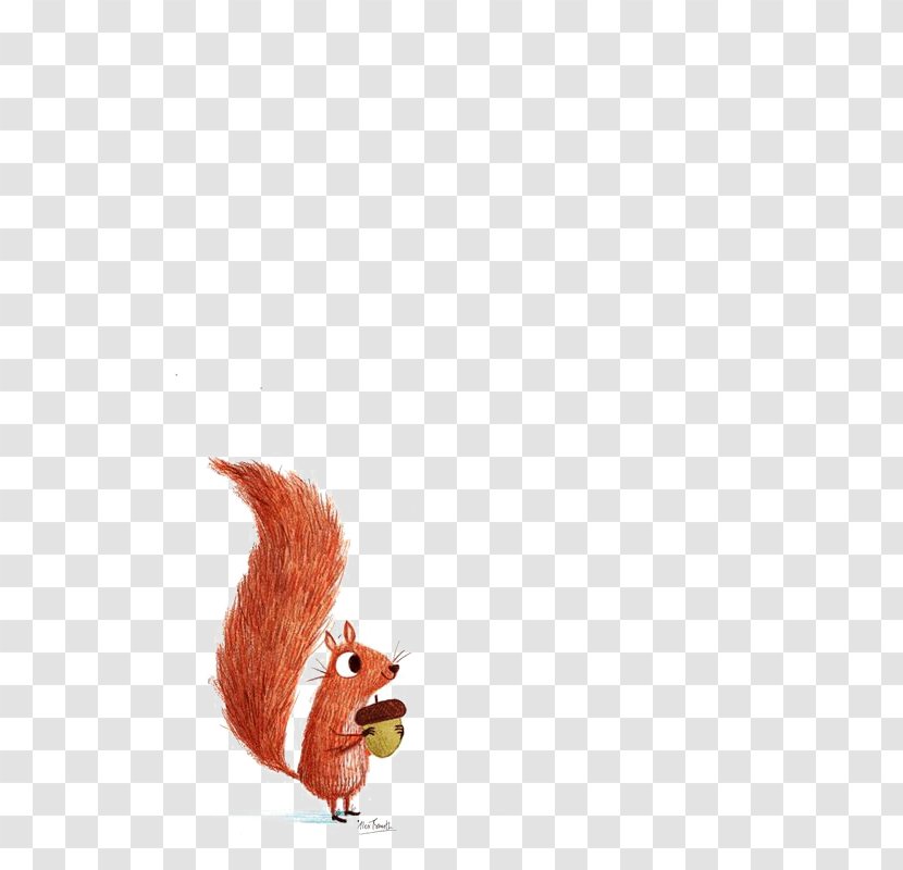 Squirrel Illustration - Pin Transparent PNG