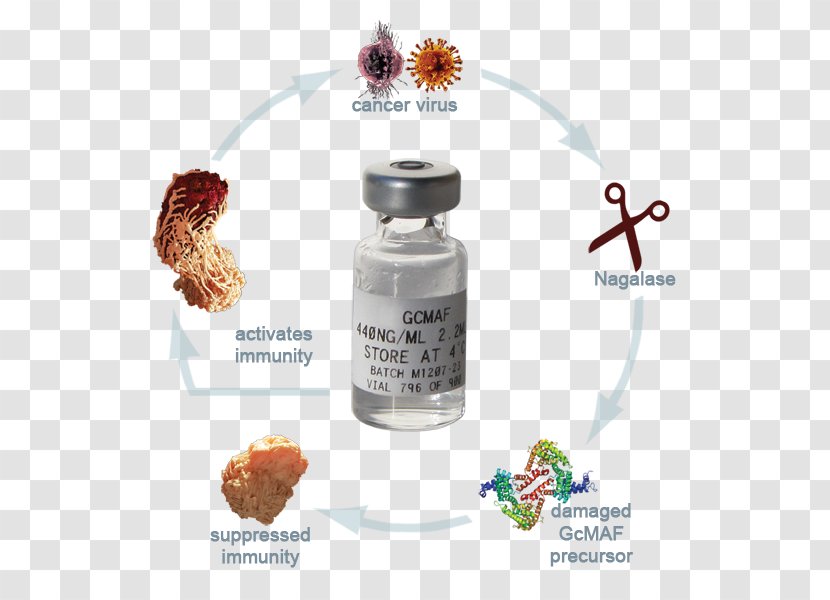 GcMAF Autism Vitamin D-binding Protein Treatment Of Cancer - Therapy - Health Transparent PNG