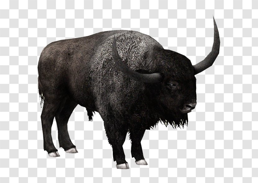 Zoo Tycoon 2 American Bison Latifrons Water Buffalo FInal Fantasy XV: Episode Ignis - Mammal - File Transparent PNG