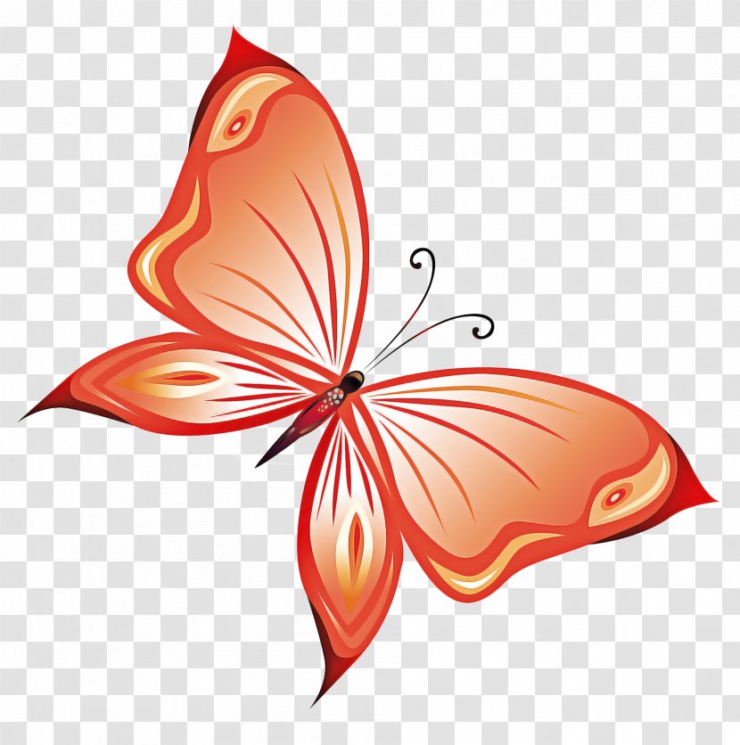 Butterfly Leaf Clip Art Moths And Butterflies Plant - Pollinator - Logo Transparent PNG