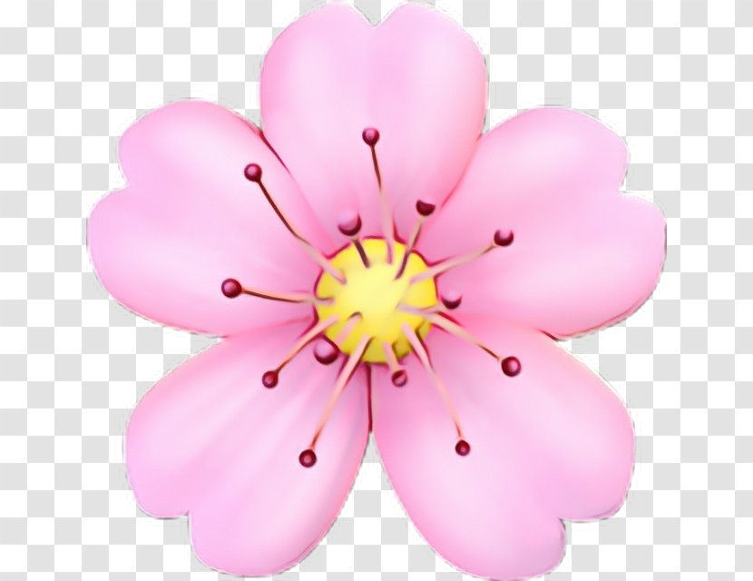 Cherry Blossom Cartoon - Emoticon - Herbaceous Plant Wildflower Transparent PNG