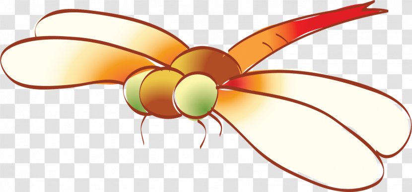 Insect Child Odonate Clip Art - Pollinator - Dragonfly Transparent PNG