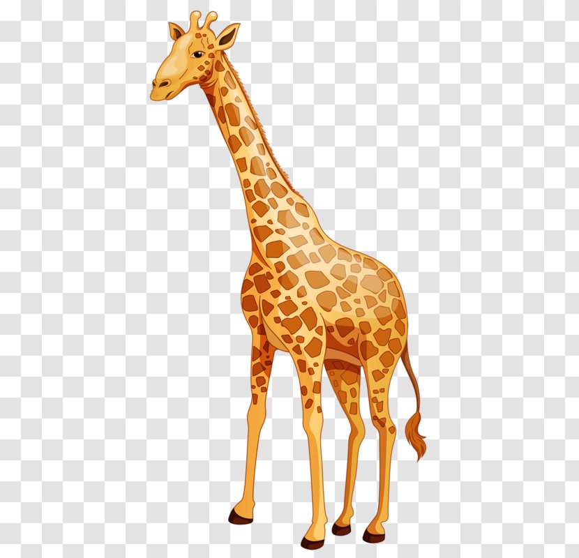 Baby Giraffes Cartoon Northern Giraffe Clip Art Transparent PNG