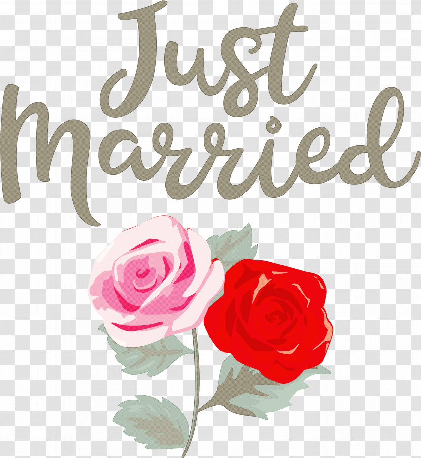 Just Married Wedding Transparent PNG