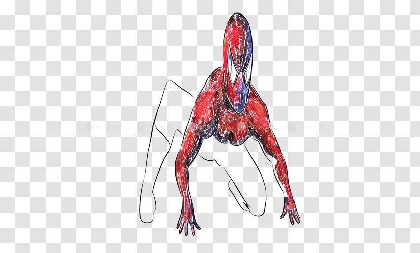 Spider-Man Loki Iron Man Hulk Black Widow - Cartoon - Spider-man Transparent PNG