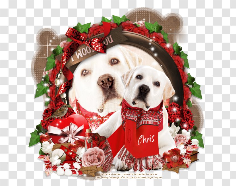 Dog Breed Puppy Love Christmas Ornament Transparent PNG