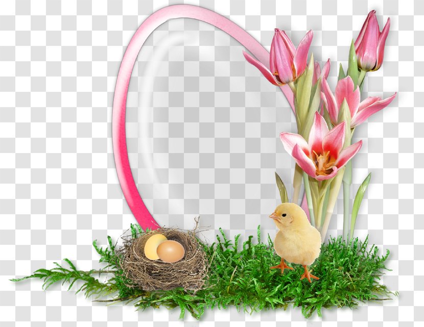 Easter Egg Picture Frames Christmas - Scrapbooking - Border Transparent PNG
