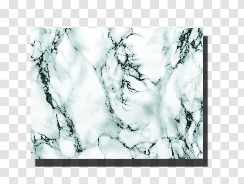 Self-adhesive Plastic Sheet Carrara Marble White - Tree - Polyvinyl Chloride Transparent PNG