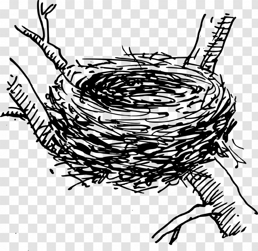 Bird Nest Clip Art - Heart Transparent PNG