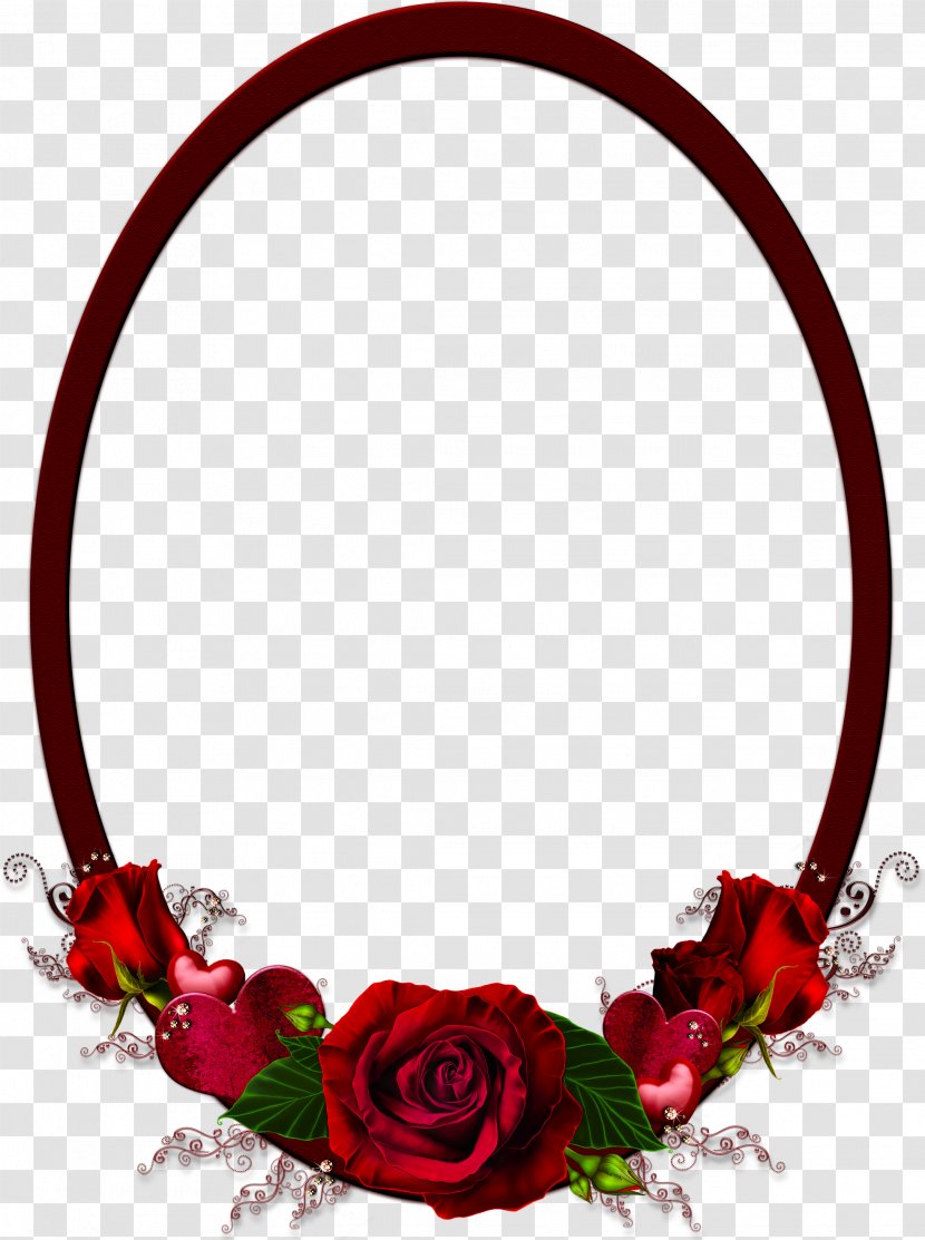 Cut Flowers Garden Roses Rose - Hair Accessory - Frame Transparent PNG