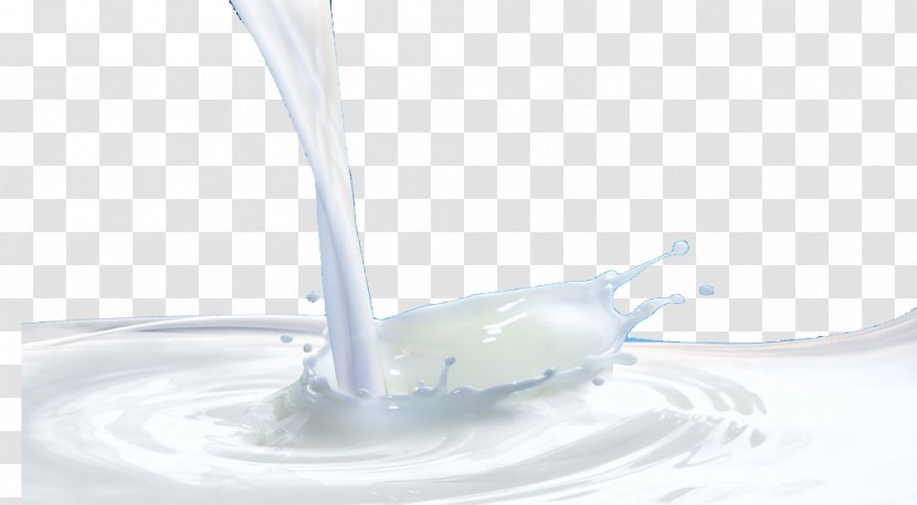 Water Dairy Product Liquid - Food - Yogurt Transparent PNG