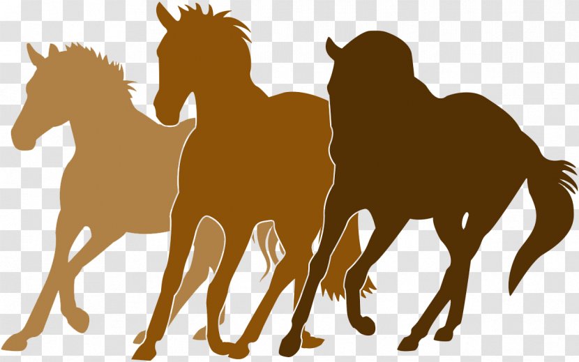 Horse Equestrian Silhouette - Pony - The Exempts Transparent PNG