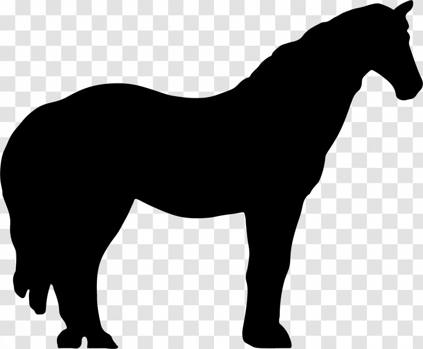 Irish Wolfhound Horse Silhouette - Mammal Transparent PNG