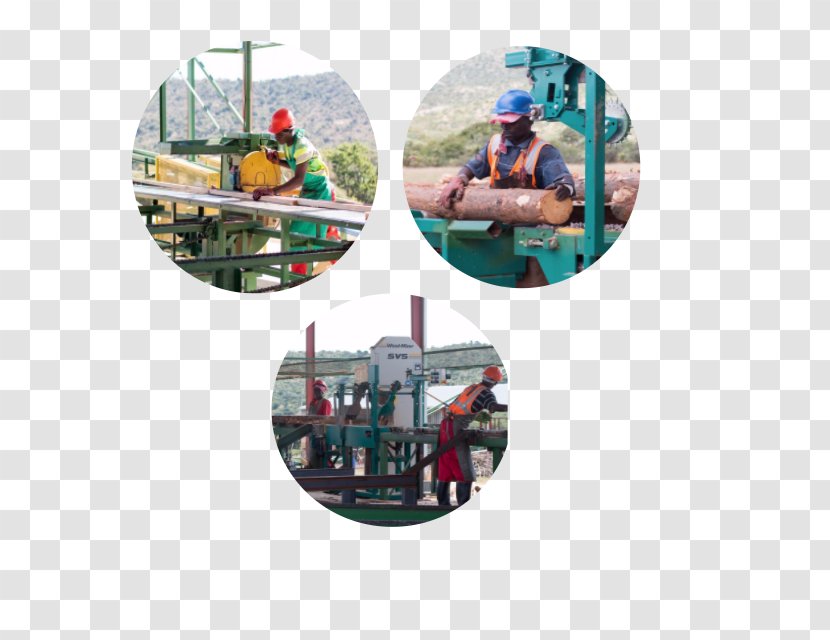 Kwa Thabeng Timbers Lumber Ga-Molepo Sawmill Industry Transparent PNG