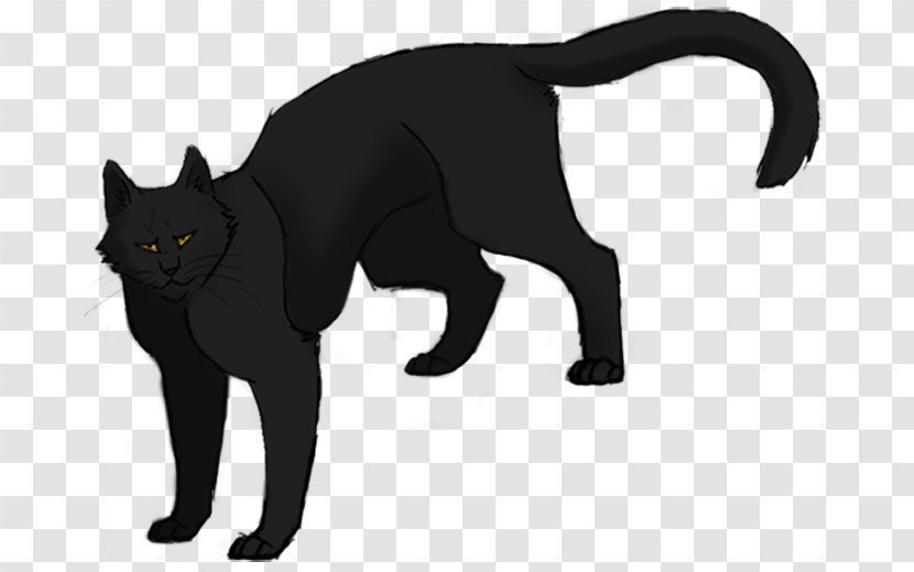 Warriors Erin Hunter Breezepelt Crowfeather Leafpool - Dog Like Mammal - Dark Forest Transparent PNG