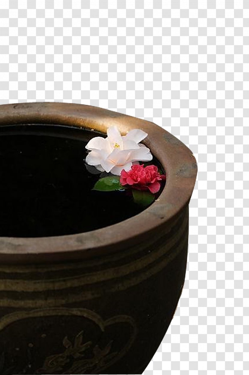 Download Clip Art - Flowerpot - Lotus Antiquity Transparent PNG