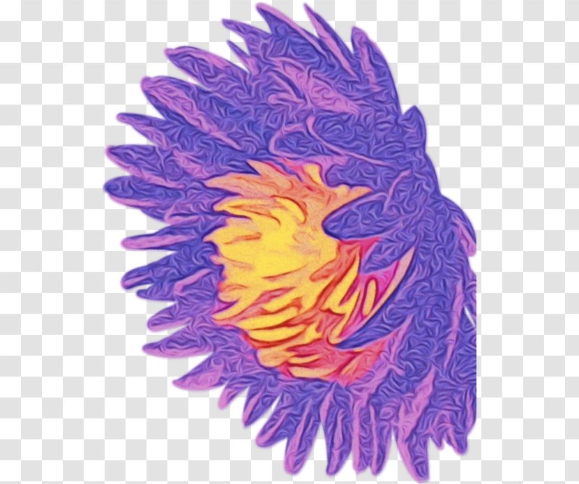 Feather - Paint - Wing Flower Transparent PNG