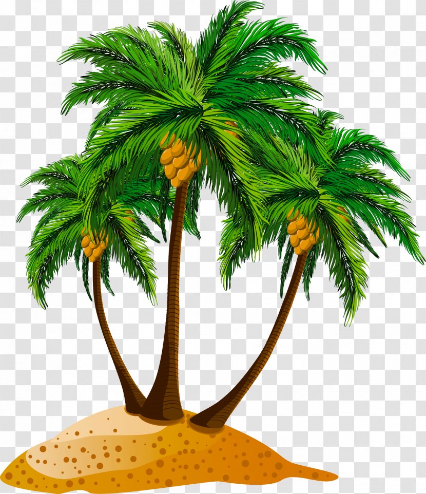 Clip Art Beach Image JPEG Transparent PNG