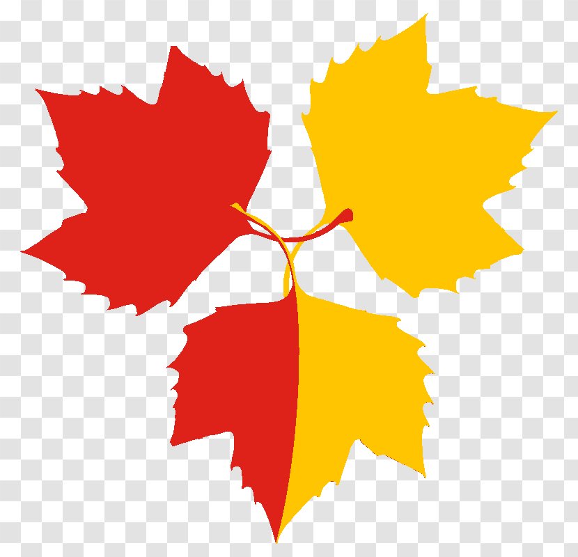 Maple Leaf American Sycamore Heraldry Gules - Kanji Transparent PNG