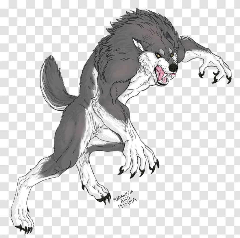 Cat Werewolf Digital Art Illustration - Flower Transparent PNG