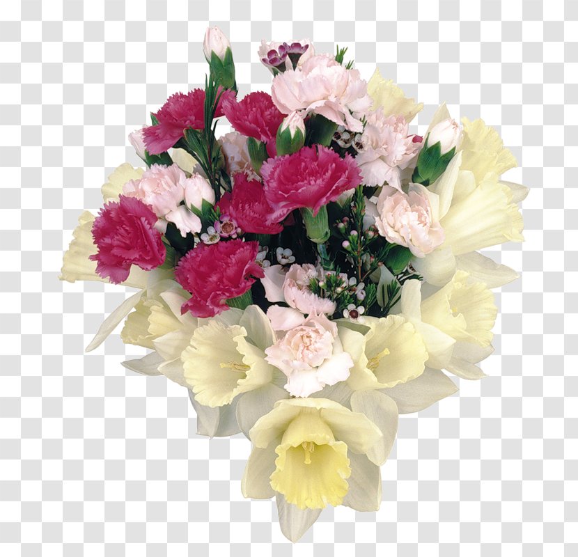 Flower Bouquet Cut Flowers Floral Design Carnation - Transvaal Daisy Transparent PNG