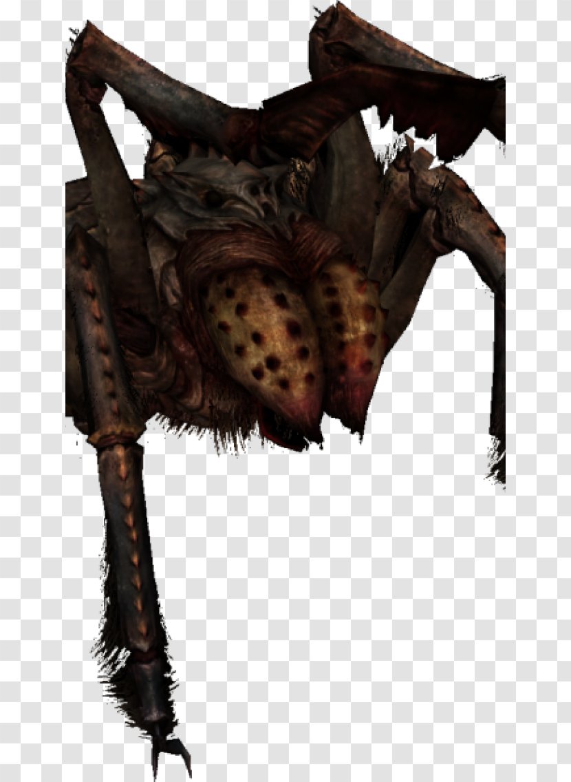 The Elder Scrolls V: Skyrim U2013 Dragonborn Online: Dark Brotherhood Spider - Mod - Yak Animal Picture Transparent PNG